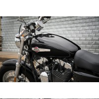 Harley-Davidson 1200 Custom ABS