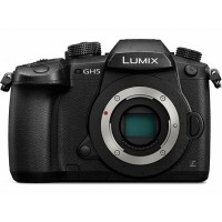 Panasonic DC GH5GA Specs, Price, Details, Dealers