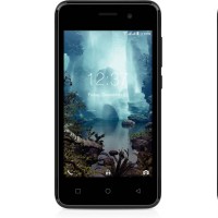 Intex Aqua 4G Mini