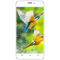 Intex Aqua Q8