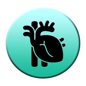 Cardiologist dealers in india