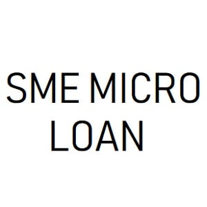 SME Micro Loan dealers in india